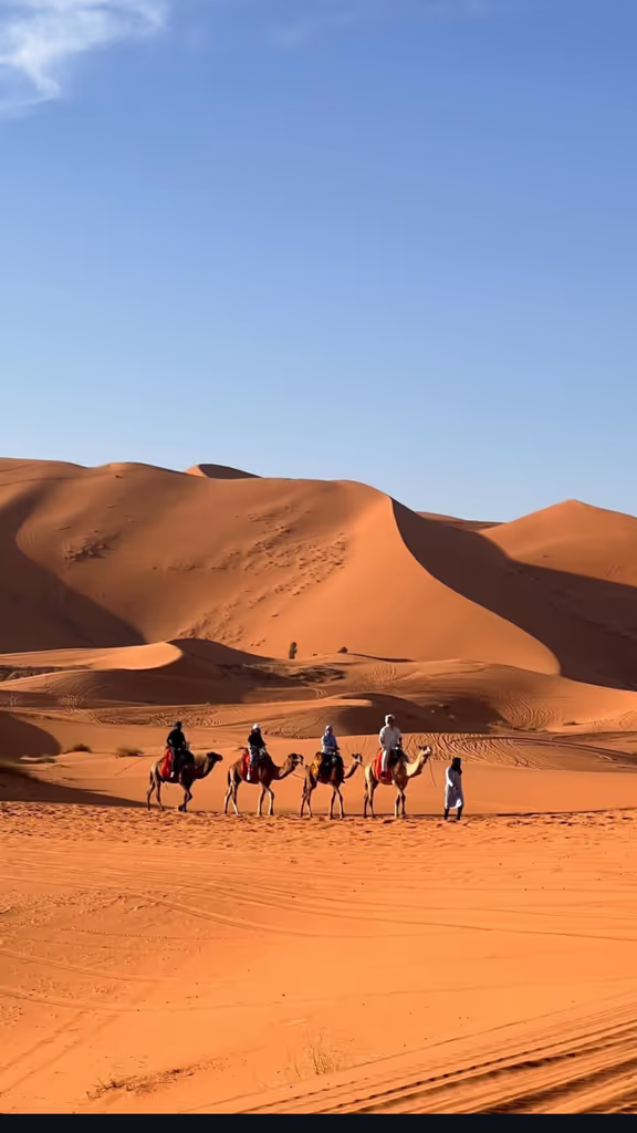 Marrakech Private Tour - 