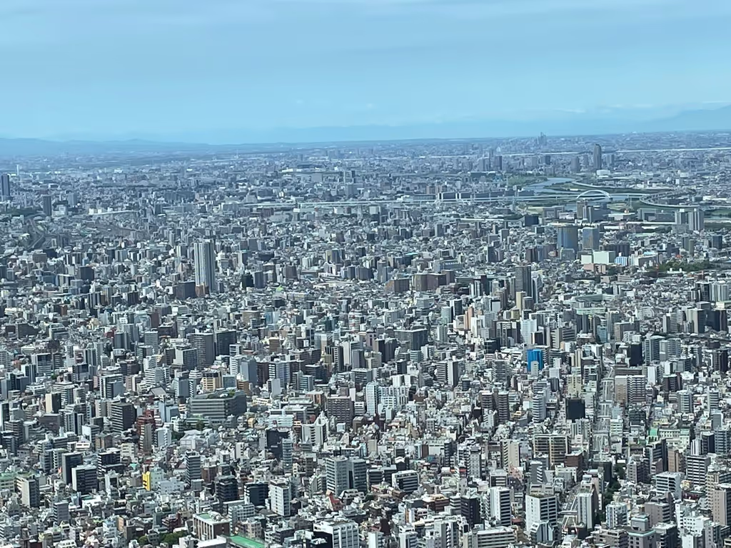 Tokyo Private Tour - O1. Tokyo Sky Tree (from the observatory at 350 m)