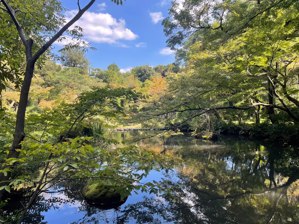 Tokyo Private Tour - M5. Nezu Museum (Japanese garden)