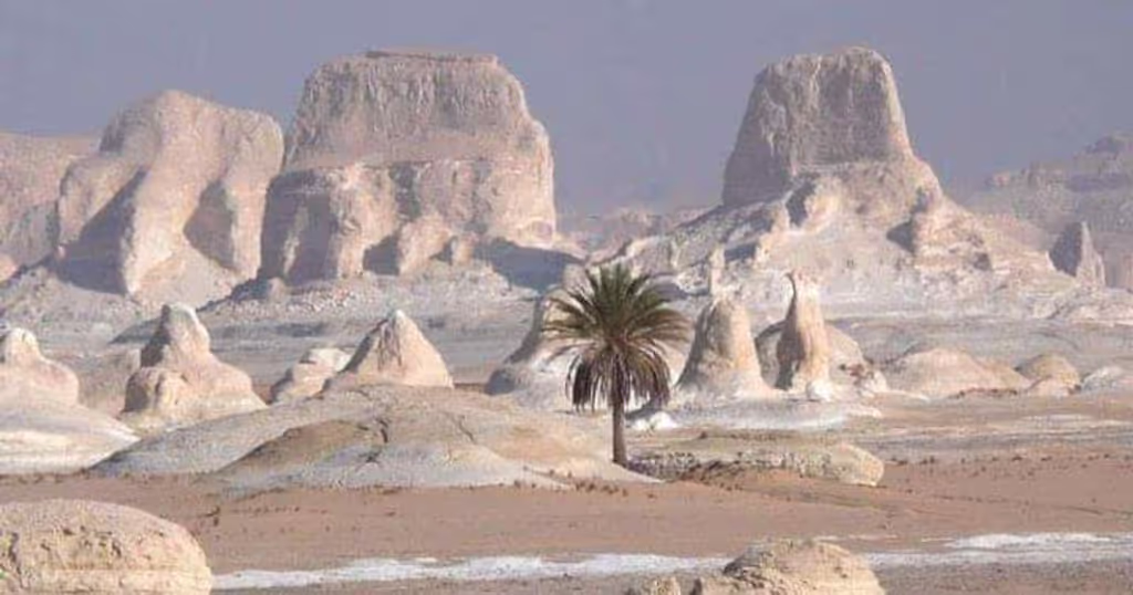 Giza Private Tour - white desert