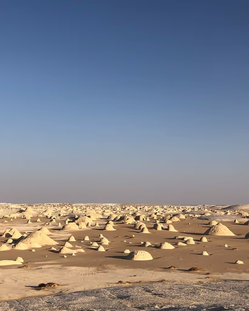 Giza Private Tour - white desert