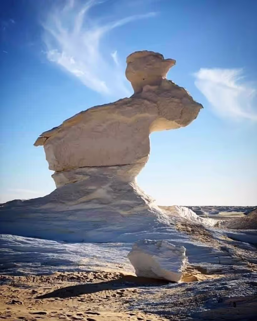 Giza Private Tour - rabbit