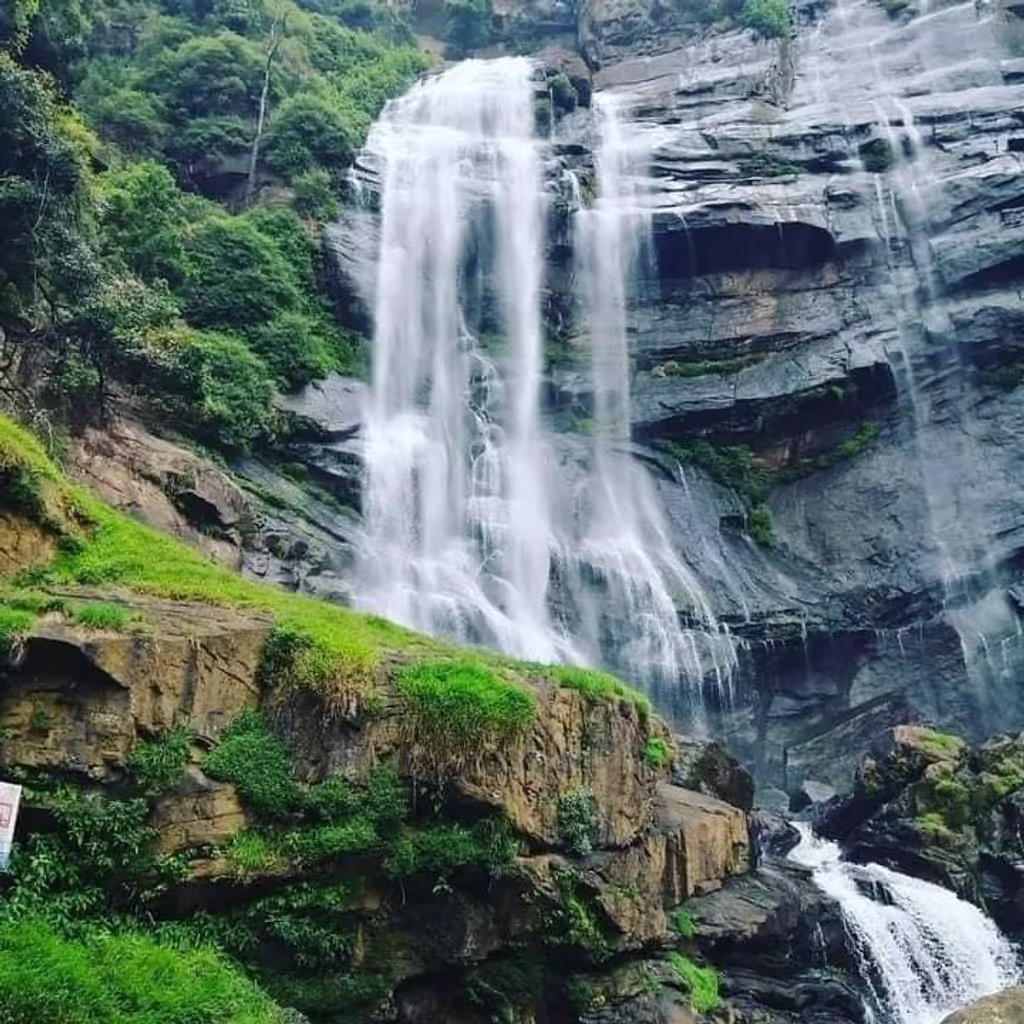 Kandy Private Tour - null