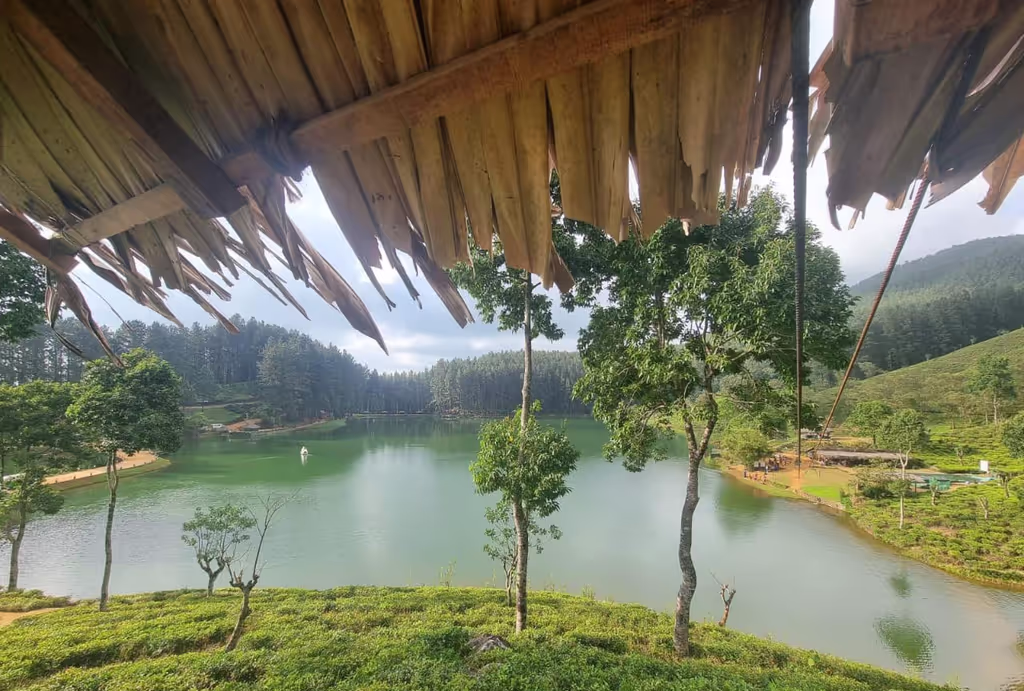 Kandy Private Tour - null