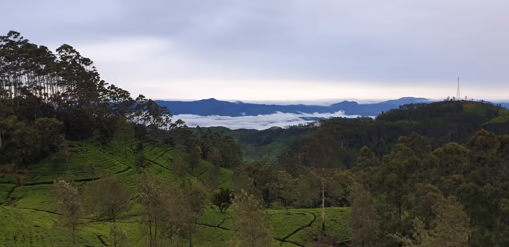 Kandy Private Tour - null