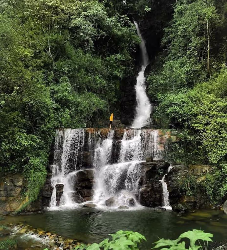 Kandy Private Tour - null