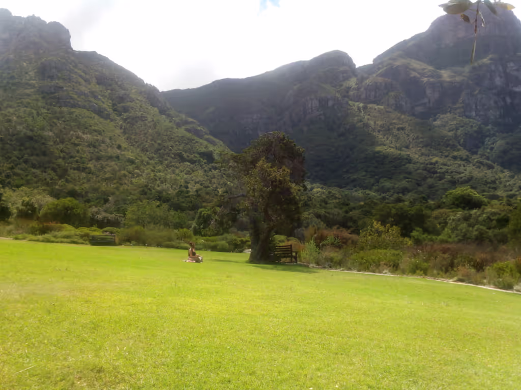 Cape Town Private Tour - null