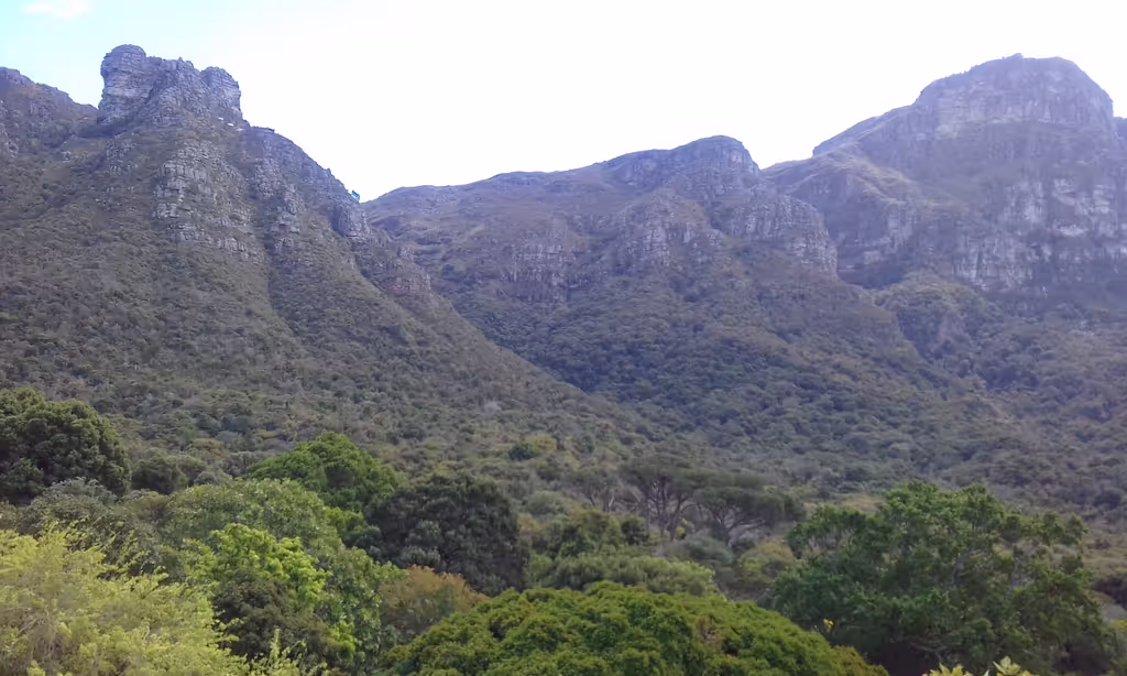 Cape Town Private Tour - Table Mountain