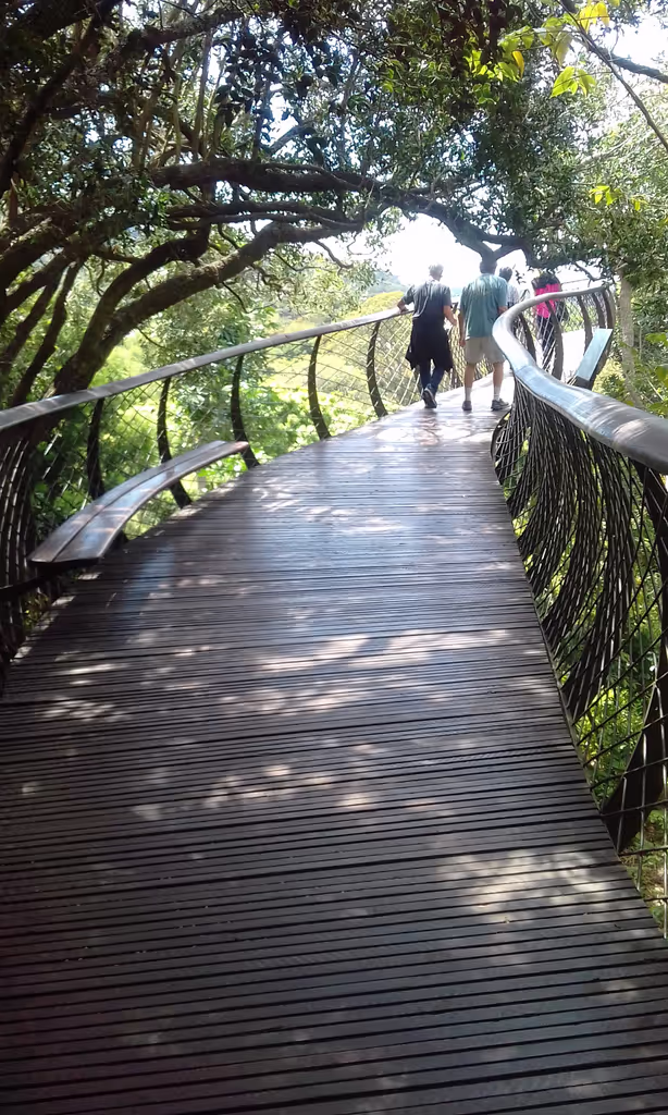 Cape Town Private Tour - Canopy Tree Walk