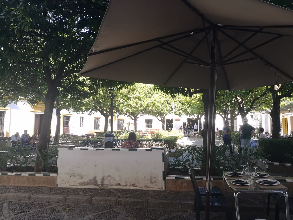 Seville Private Tour - Santa Cruz