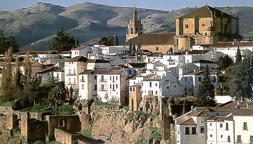 Seville Private Tour - Ronda