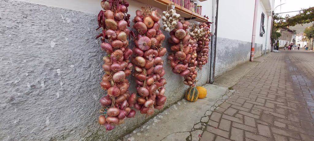 Tirana Private Tour - Very delicious unions of Lin village.