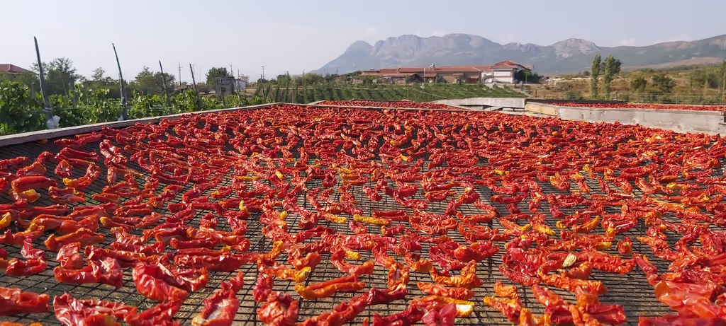 Tirana Private Tour - Natural dry of local tomatoes 
