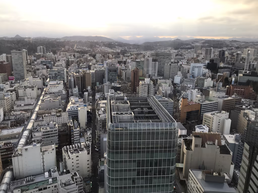 Miyagi Private Tour - beautiful Sendai city!