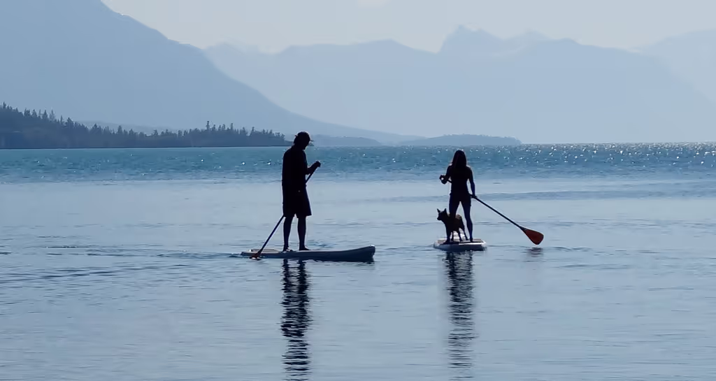 Vancouver Private Tour - Stand up paddle board with camp dog Eddy