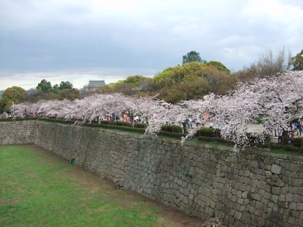 Osaka Private Tour - 大阪城（櫻花）。