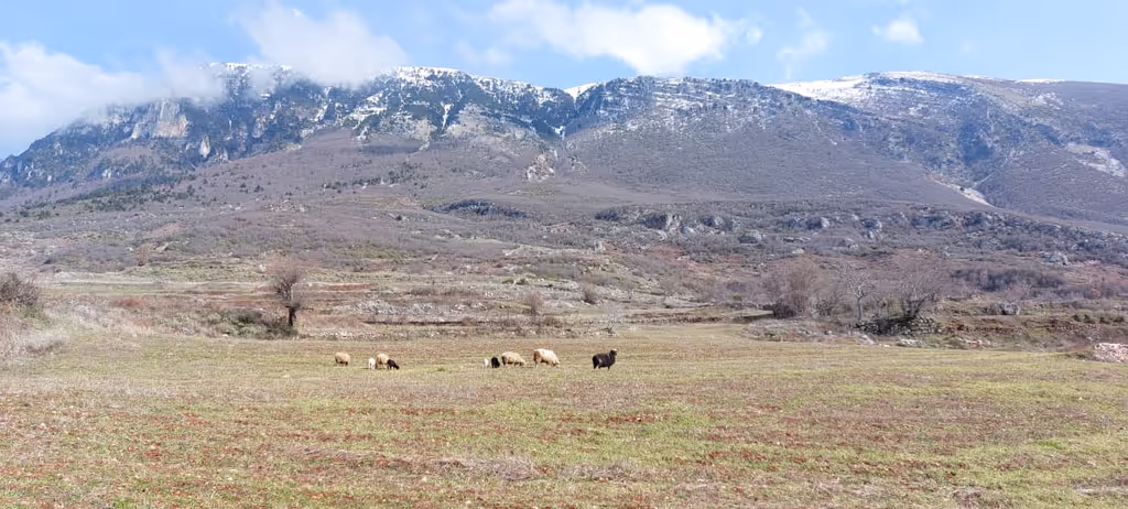 Tirana Private Tour - Mountain Tomorr