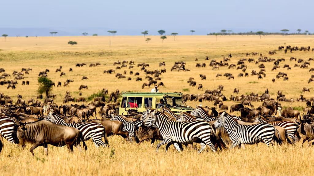 Nairobi Private Tour - Abundant wildlife in Maasai Mara plains. 