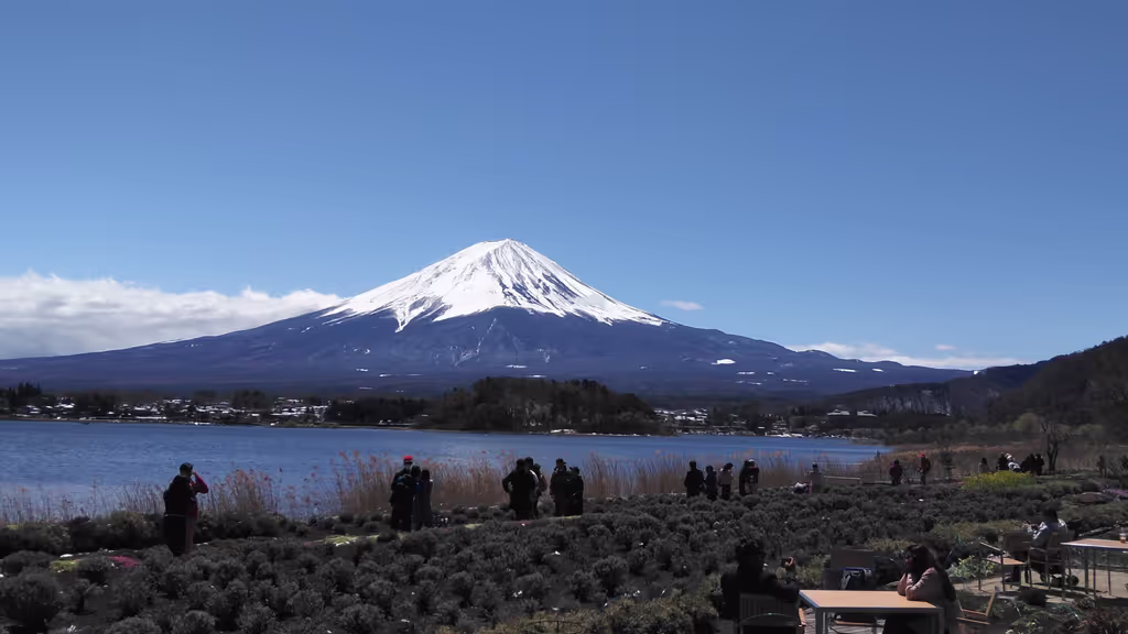 Tokyo Private Tour - From Kawaguchiko Lakeside in autumn