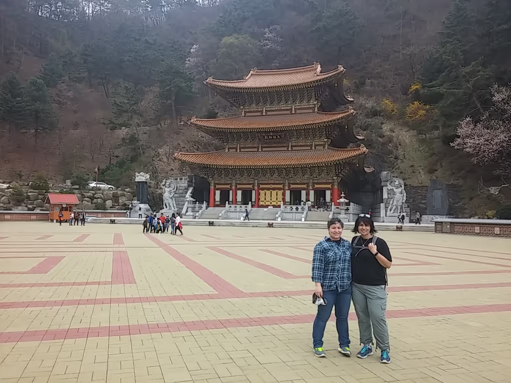 Seoul Private Tour - null