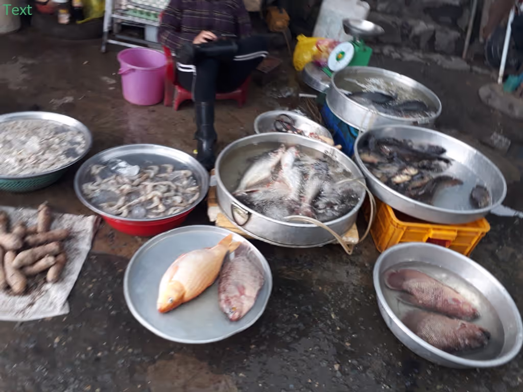Ho Chi Minh Private Tour - Experience the real Mekong Delta by bikes,boats and kayaks