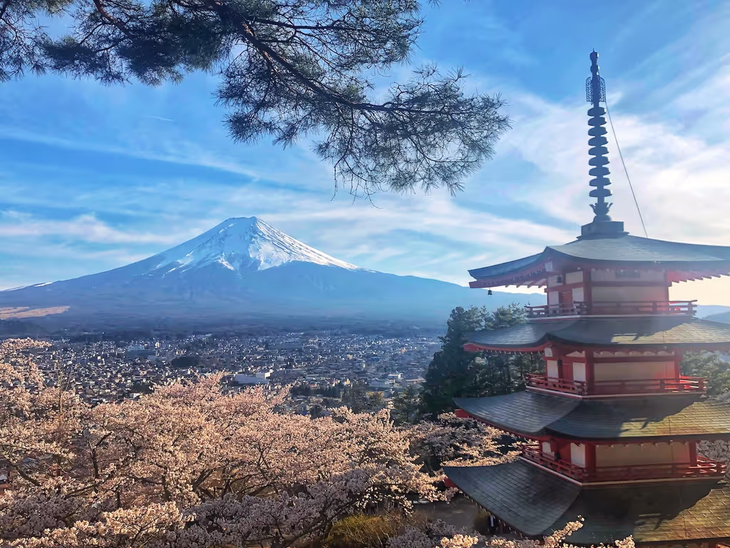 Tokyo Private Tour - Arakura Sengen Park and Mt. Fuji