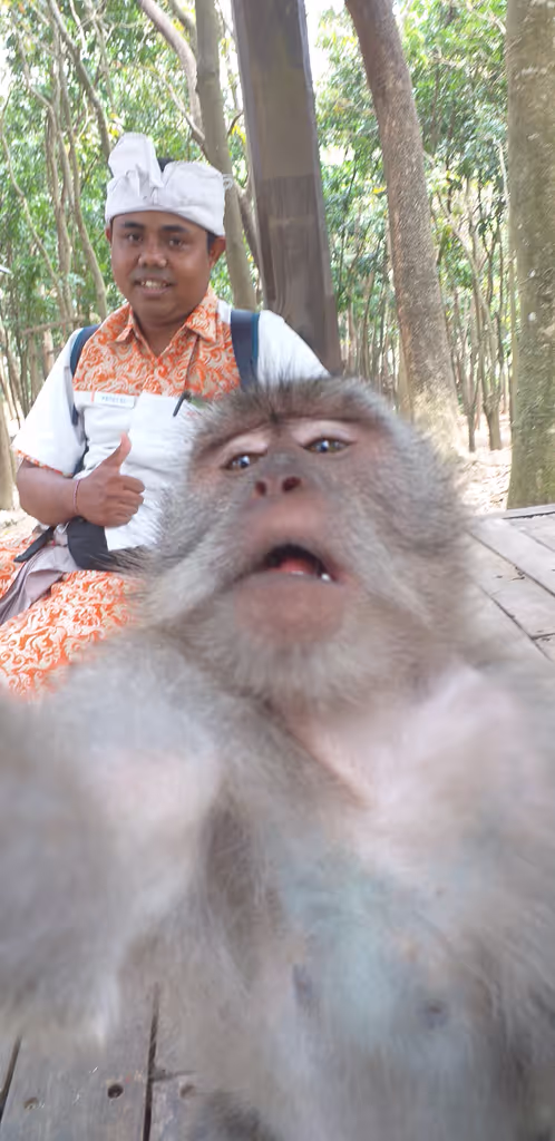 Bali Private Tour - null