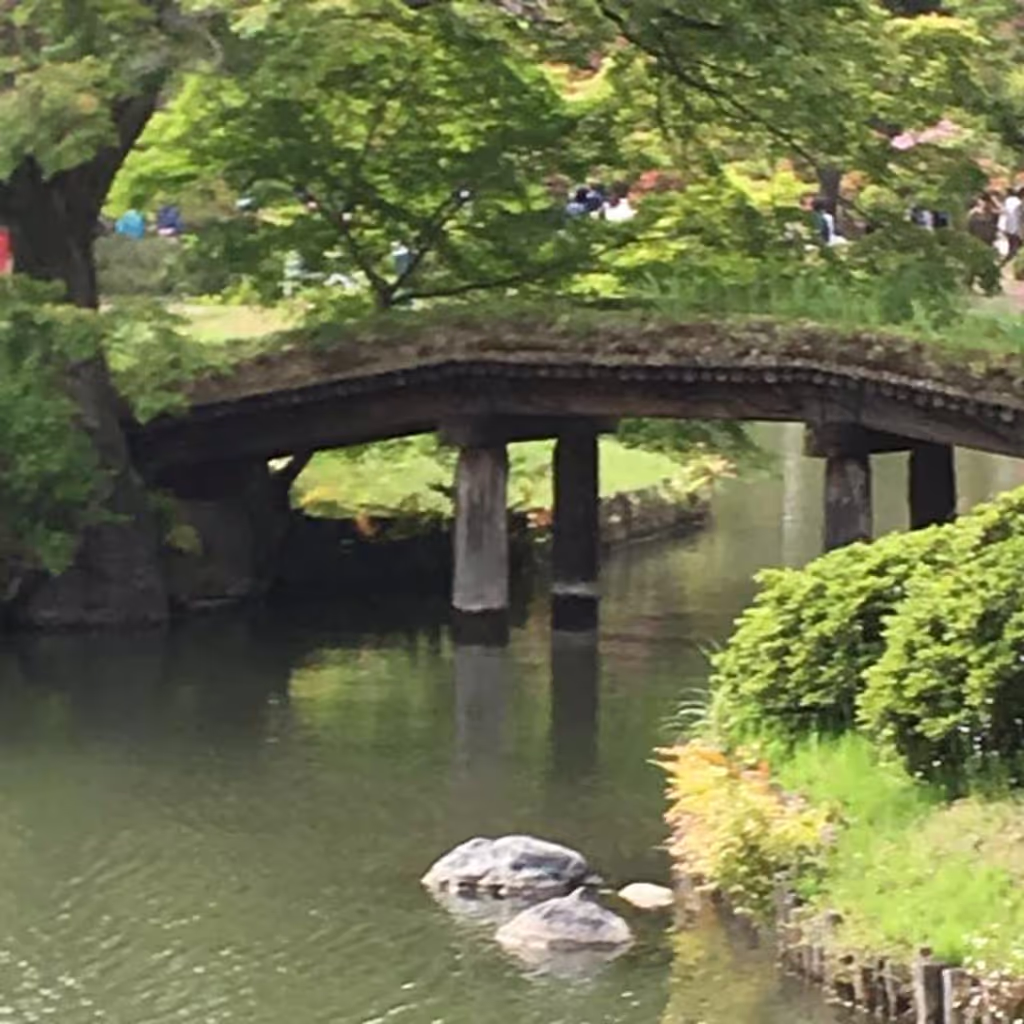 Tokyo Private Tour - a bridge over man-made pond.