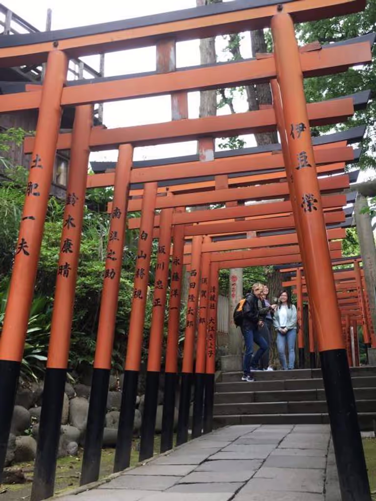 Tokyo Private Tour - Many Torii Shinto shrine gates.