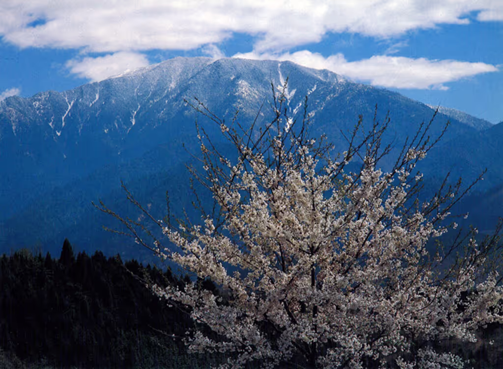 Gifu Private Tour - Le mythique Mont ENA