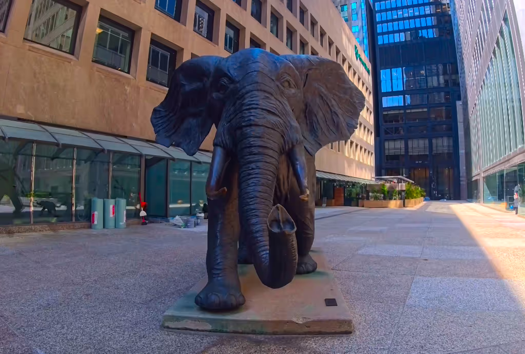 Toronto Private Tour - Tembo, Mother of Elephants