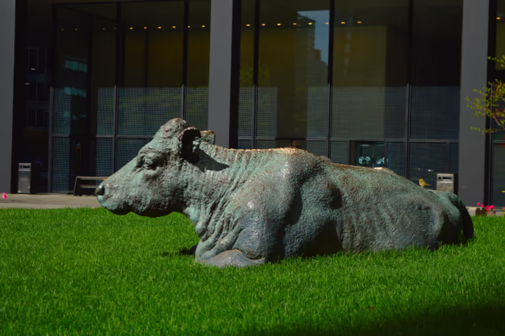 Toronto Private Tour - A cow chillin @ TD Tower