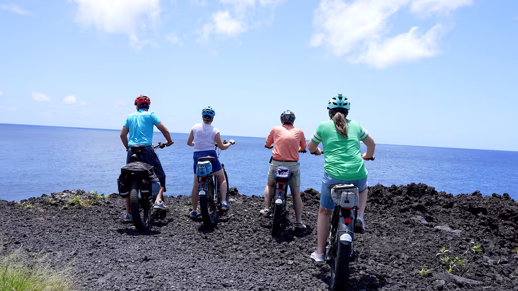 Hawaii (Big Island) Private Tour - null
