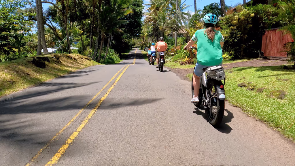 Hawaii (Big Island) Private Tour - null