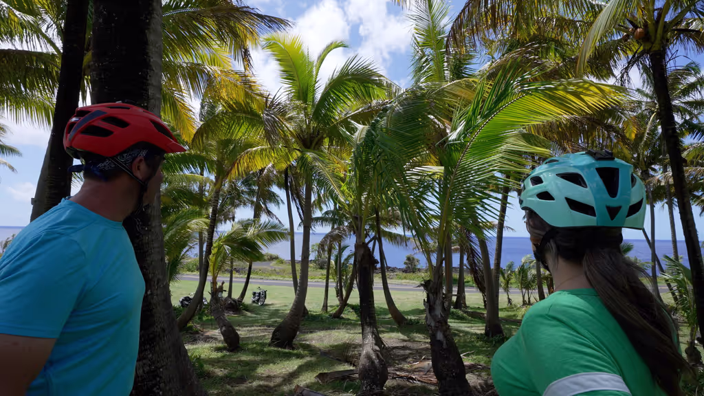 Hawaii (Big Island) Private Tour - null