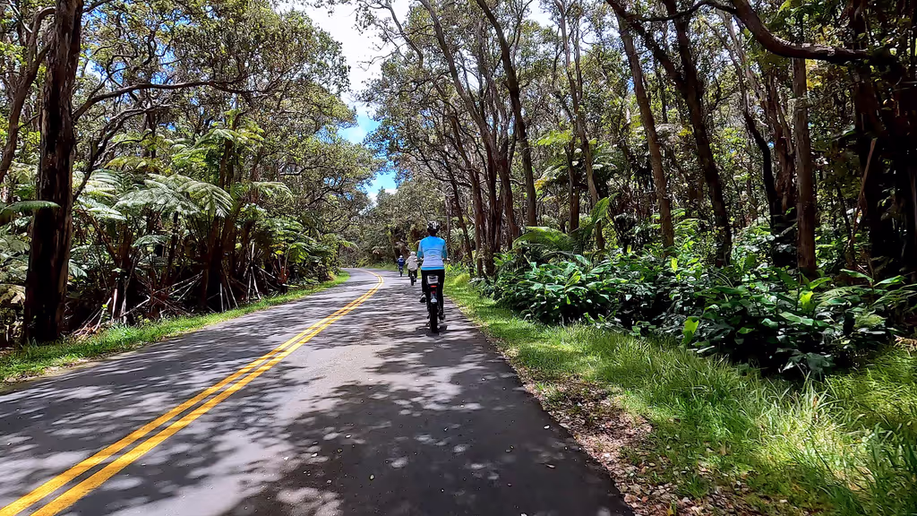 Hawaii (Big Island) Private Tour - null