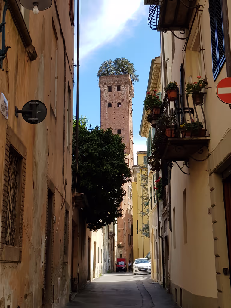 Lucca Private Tour - Torre Guinigi