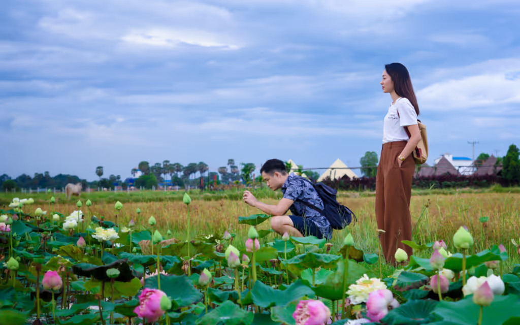 Siem Reap Private Tour - Rice Paddy Fields & Lotus Farms
