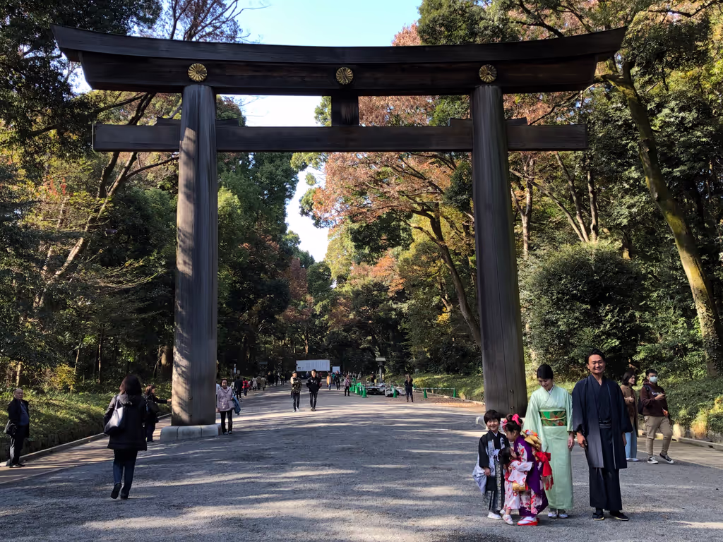 Tokyo Private Tour - Meiji jingu shrine Torii