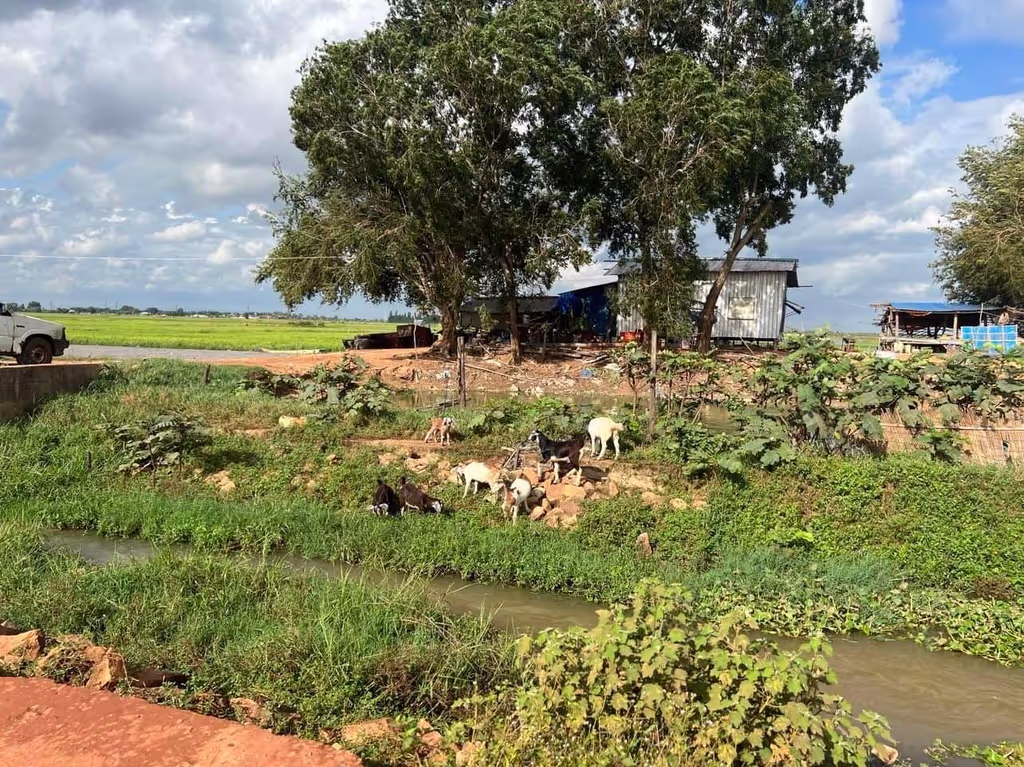 Siem Reap Private Tour - 