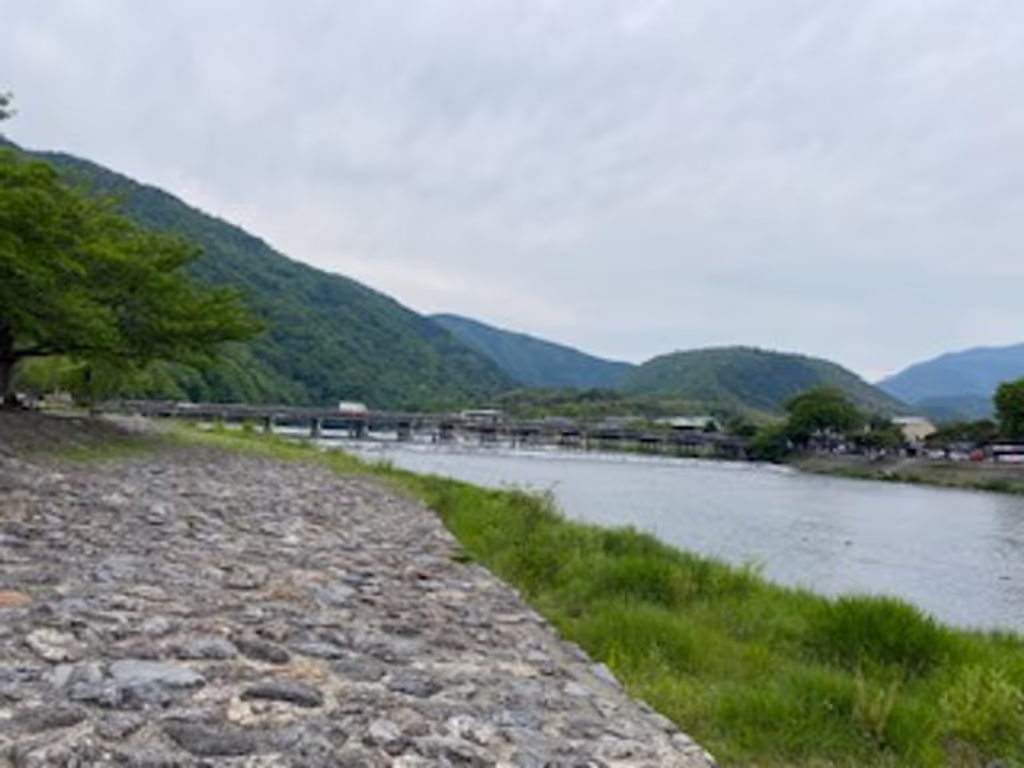 Kyoto Private Tour - null