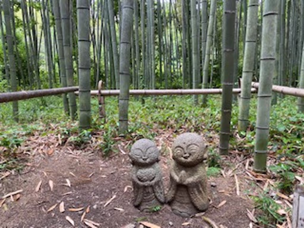 Kyoto Private Tour - null