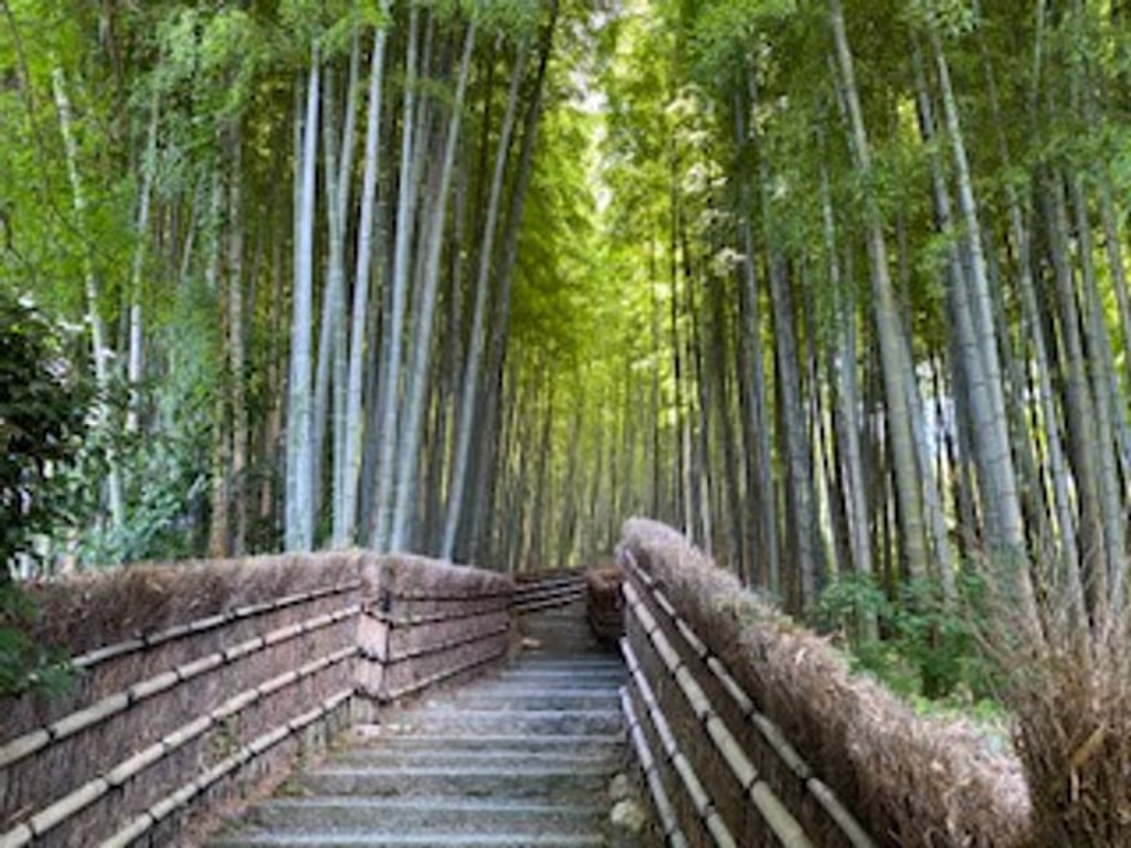 Kyoto Private Tour - null