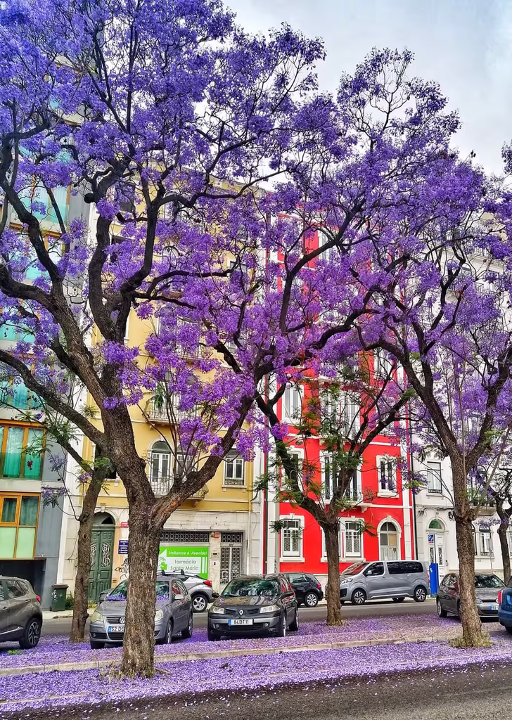 Lisbon Private Tour - 