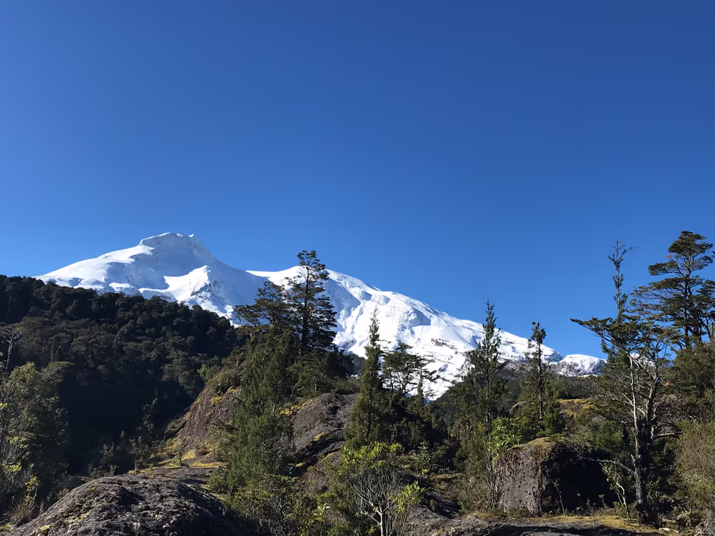 Puerto Varas Private Tour - null