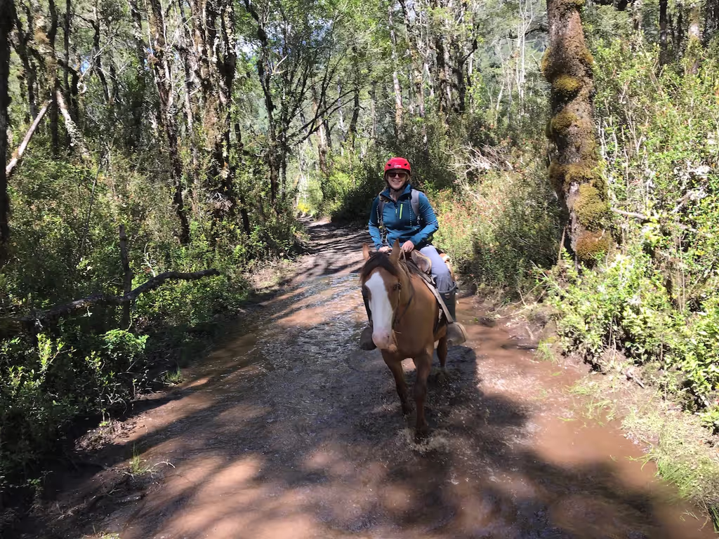 Puerto Varas Private Tour - Horse riding in Patagonia, Patagonia Trails.