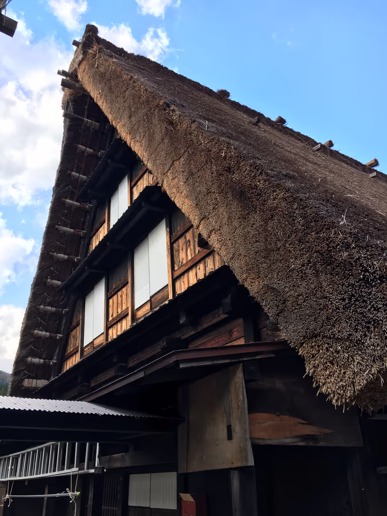 Nagoya Private Tour - null