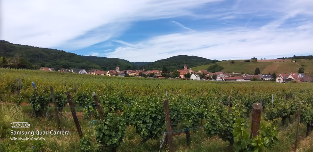 Alsace Private Tour - Charming villages.