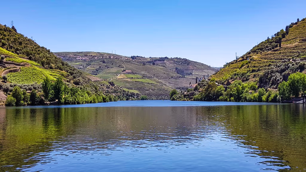 Porto Private Tour - null