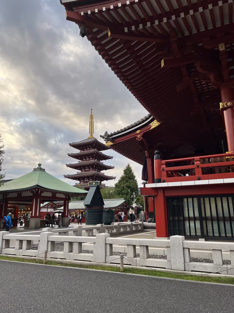 Tokyo Private Tour - null